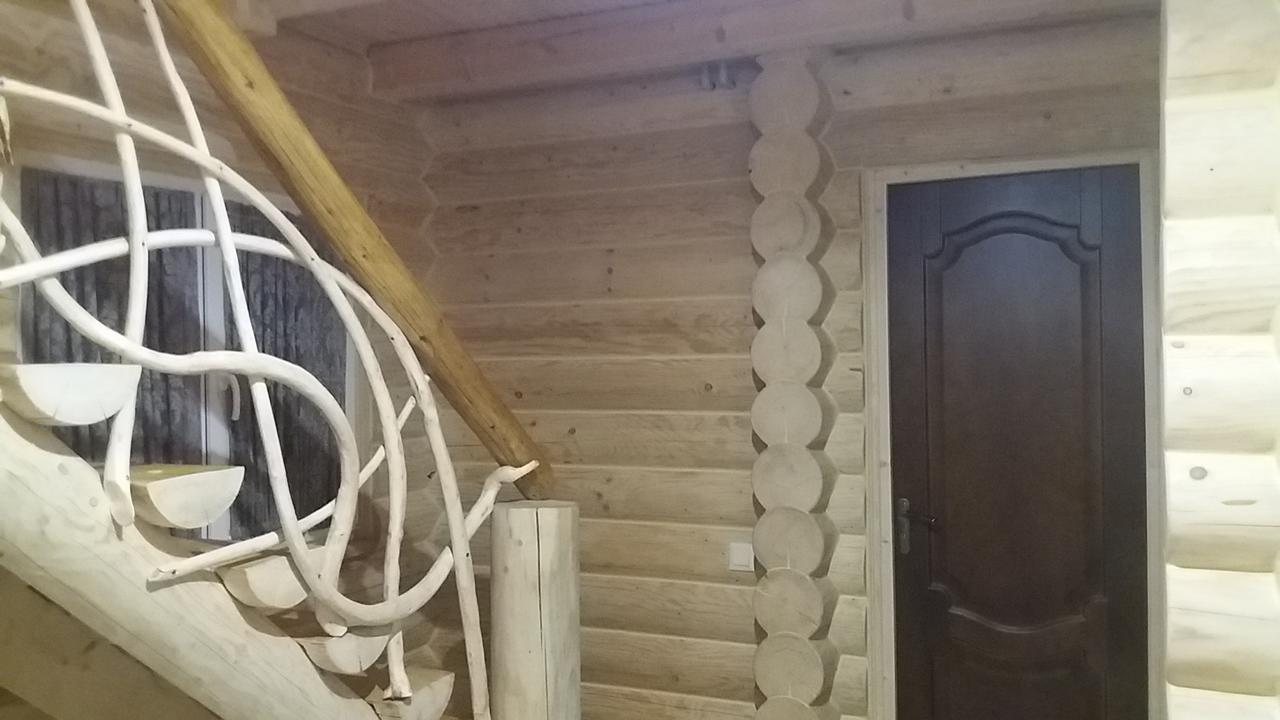 Nota Bene Mykulychyn Villa Kültér fotó
